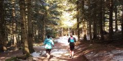 Création d'une nouvelle association sportive - Just Trail